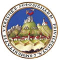 Grad Vršac
